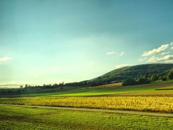 Scenic view of landscape against clear sky