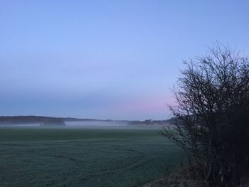 Scenic view of field against clear blue sky