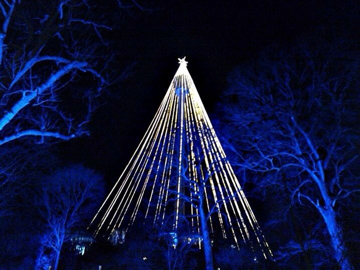 night, illuminated, low angle view, tree, blue, sky, arts culture and entertainment, clear sky, built structure, outdoors, long exposure, lighting equipment, architecture, no people, tall - high, motion, amusement park ride, travel destinations, famous place, celebration