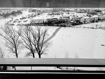 Snow covered trees in winter