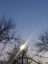 Low angle view of silhouette trees against clear sky