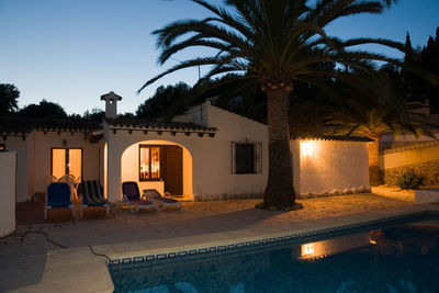 Palm trees by swimming pool against sky at night