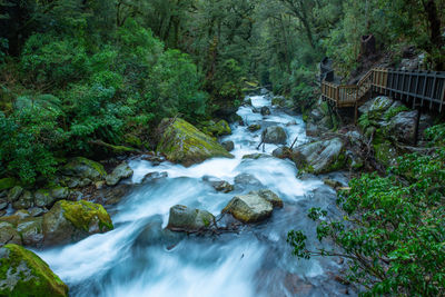 Stream flowing through rocks in forest