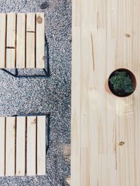 High angle view of potted plant on wooden table