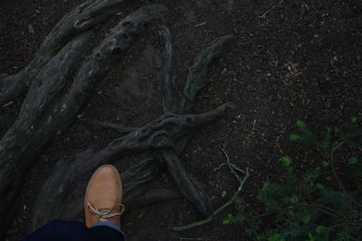 Low section of man standing on ground