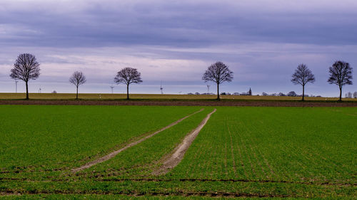 Traktor tracks leading towards trees line with wind engines in the background