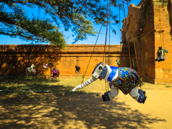 People by tree against sky