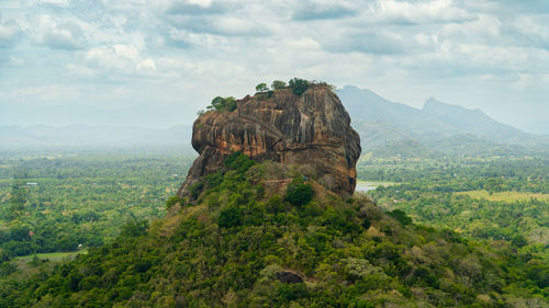 Sigiriya rock or lion rock near dambulla in sri lanka. green rainforest and jungle.
