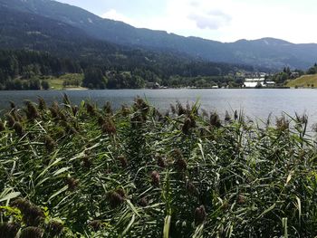 Scenic view of lake against mountains