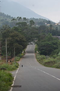 Empty road by trees against sky