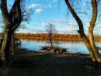 Bare tree on lakeshore against sky