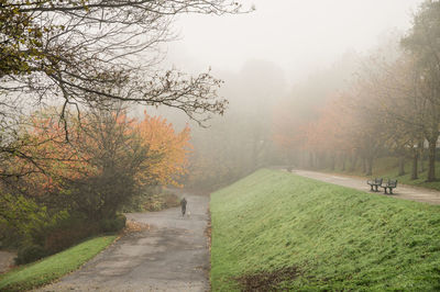 Footpath in foggy weather