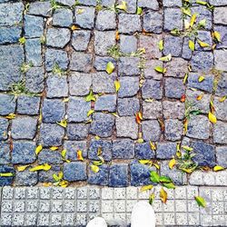 High angle view of leaves on footpath