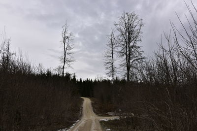 Empty road along bare trees against sky