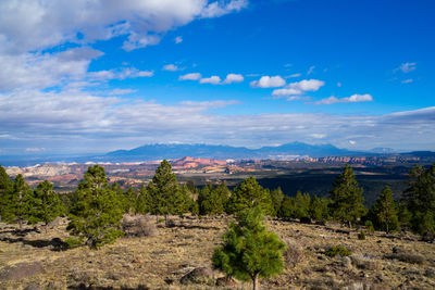 Scenic view of landscape against sky