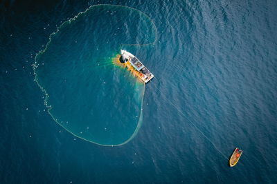 High angle view of man swimming in sea