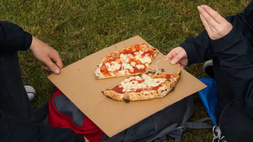 High angle view of hand holding pizza on field