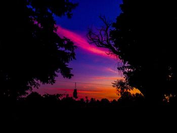 Silhouette of trees at sunset