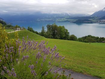 Scenic view of sea and mountains against sky