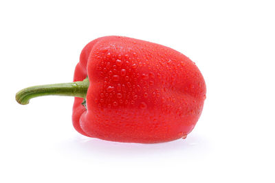 Close-up of red bell pepper against white background