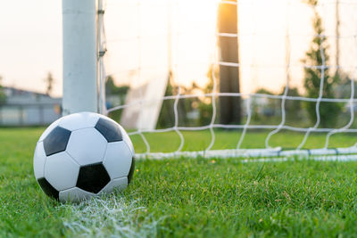 Soccer ball on grass