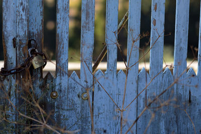 Close-up of metal fence against blue wall