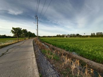 Road amidst agricultural field against sky