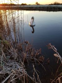 Reflection of man in lake