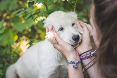 Close-up of teenage girl pampering dog on field