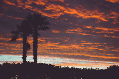 Silhouette palm trees against sky during sunset