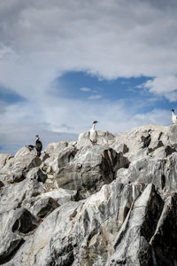 Low angle view of rock formations against sky