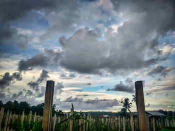 Low angle view of wooden posts on field against sky