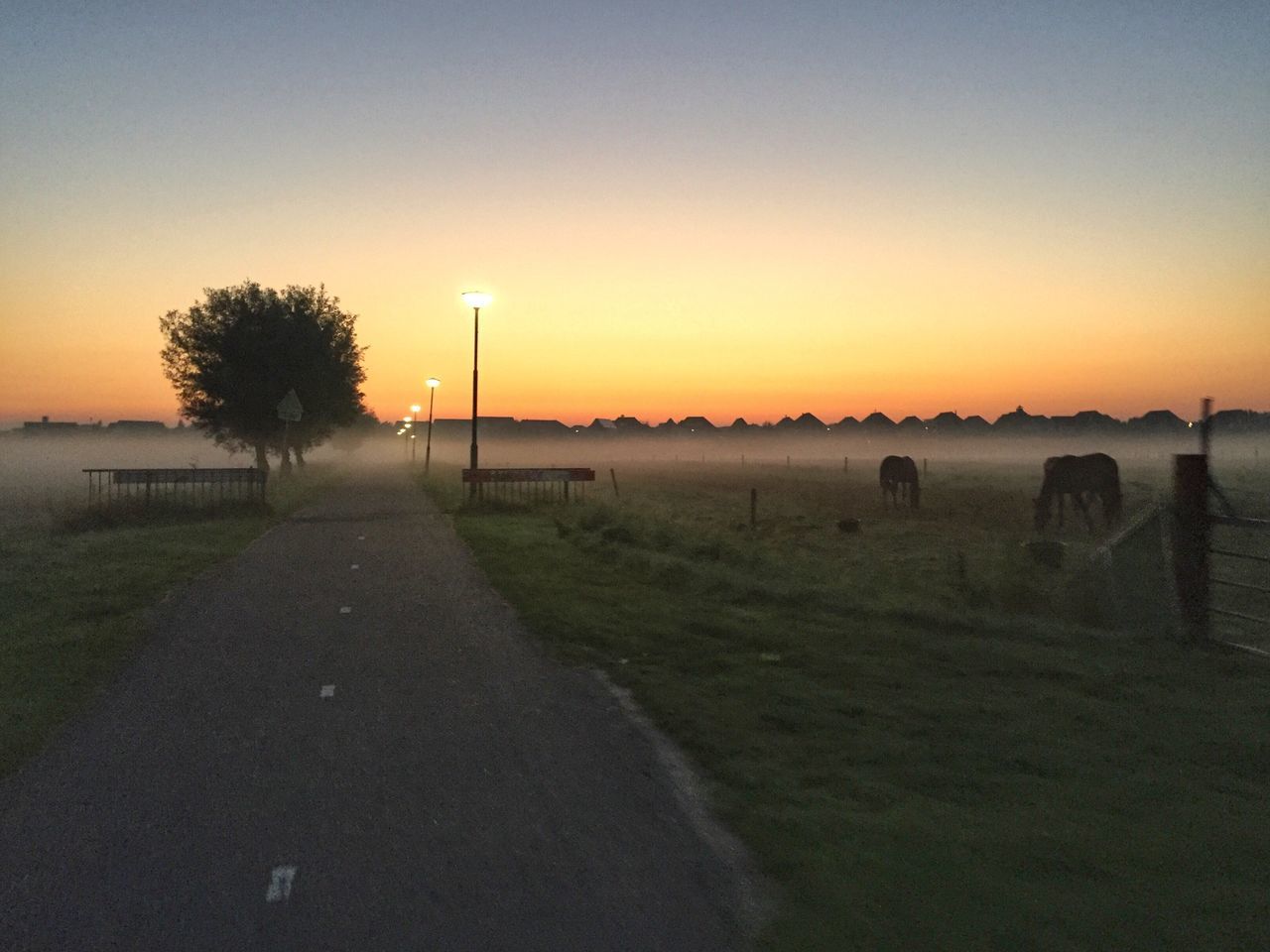 VIEW OF ROAD AT SUNSET