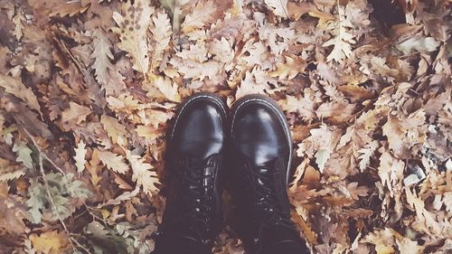 Low section of person standing by autumn leaves