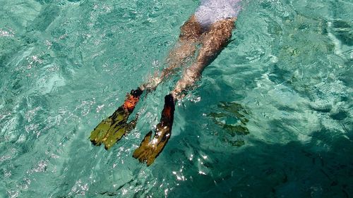 Low section of woman swimming in sea