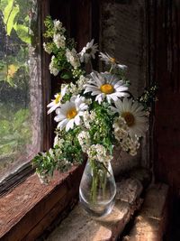 Close-up of white flowers in vase
