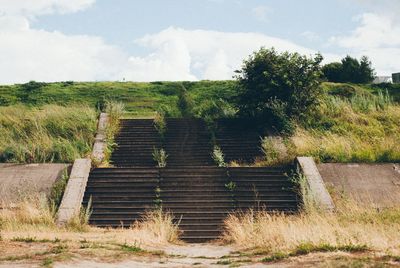 Steps and trees against sky