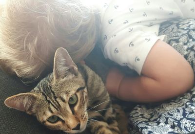 Cat sitting with boy on bed