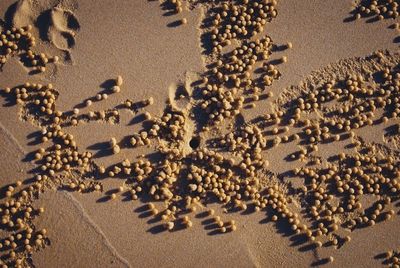sand