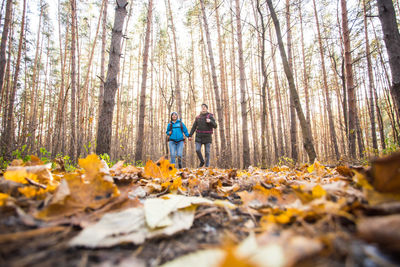 Rear view of men walking on leaves in forest