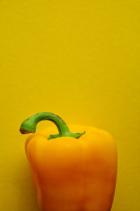 Yellow pepper on yellow background