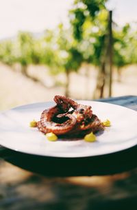 Close-up of meal served in plate on table