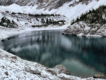 Scenic view of lake in forest