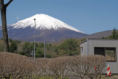 Scenic view of grassy field against clear sky