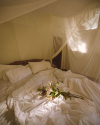 View of flowers on bed