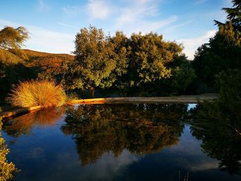 Reflection of trees in lake against sky during autumn