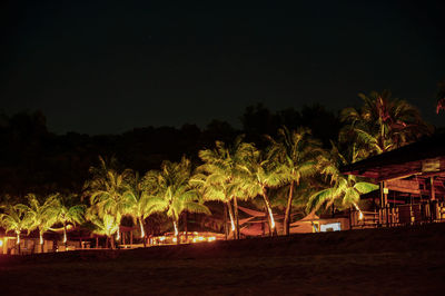 Palm trees by beach against sky at night