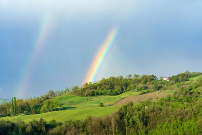 Scenic view of agricultural field against sky