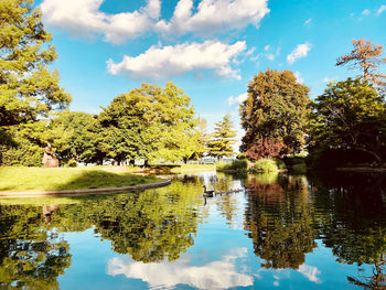 Reflection of trees in lake against sky