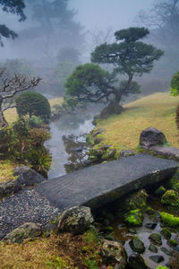 Scenic view of rocks by trees against sky